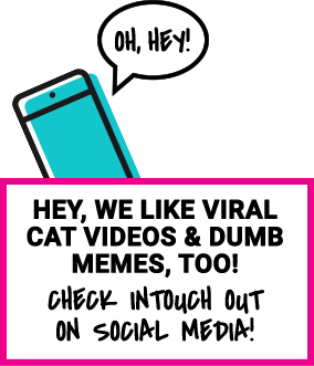 hey, we like viral cat videos & dumb memes, too! Check intouch out on social media!