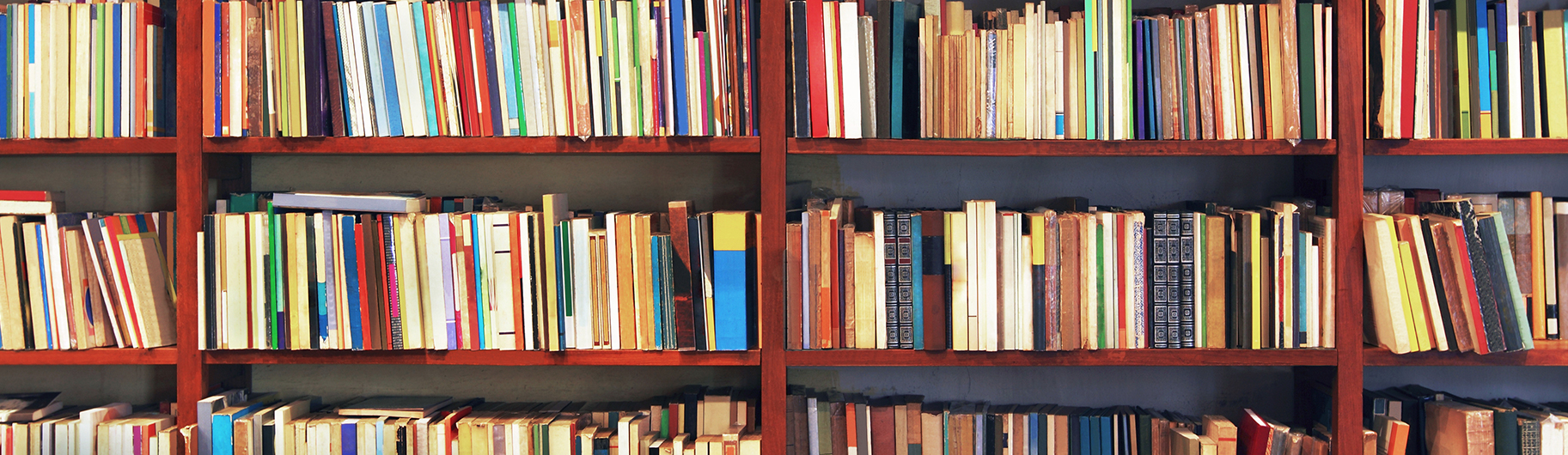 bookcases with books